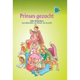 Afbeelding van Prinses gezocht (Samenleesboeken)