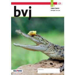 Afbeelding van BVJ - MAX - : 1 vmbo t/havo B : Leerwerkboek