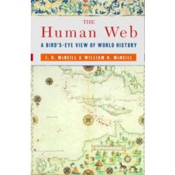 Afbeelding van The human web : a bird's-eye view of world history