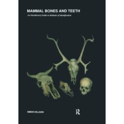 Afbeelding van Mammal bones and teeth