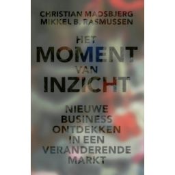 Afbeelding van Het moment van inzicht