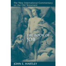 Afbeelding van The Book of Job