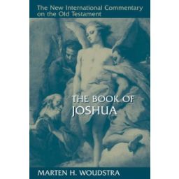 Afbeelding van The Book of Joshua