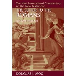 Afbeelding van The Letter to the Romans