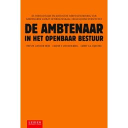 Afbeelding van De ambtenaar in het openbaar bestuur