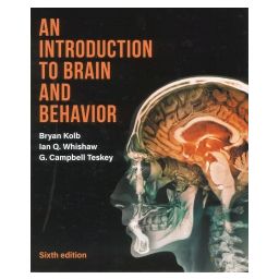Afbeelding van An introduction to brain and behaviour