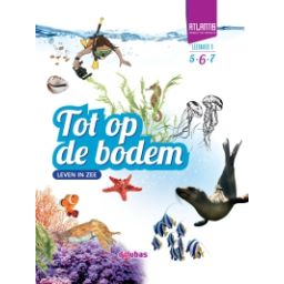 Afbeelding van Atlantis : Groep 6 : Leesboek 3
