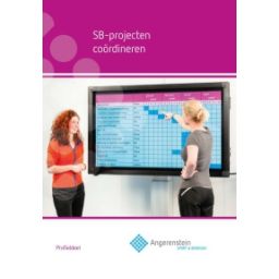Afbeelding van SB-projecten coördineren