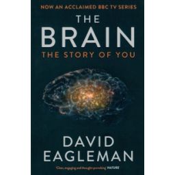 Afbeelding van The brain : the story of you