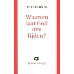 Afbeelding van Waarom laat God ons lijden?