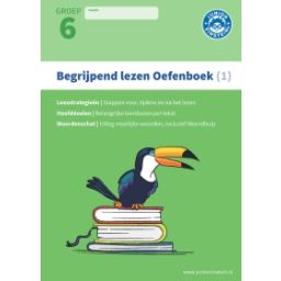 Afbeelding van Begrijpend lezen : Groep 6, 1 : Oefenboek
