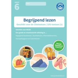 Afbeelding van Begrijpend lezen : Groep 6, 1 : Oefenboek