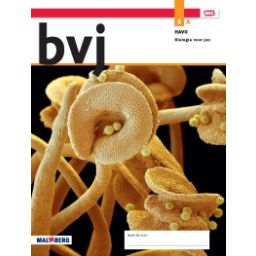 Afbeelding van BVJ - MAX - : 5 havo A : Leeropdrachtenboek