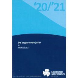 Afbeelding van De beginnende jurist