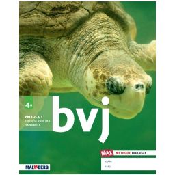 Afbeelding van BVJ - MAX - : 4 vmbo-gt A : Handboek