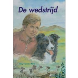 Afbeelding van De wedstrijd