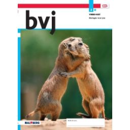 Afbeelding van BVJ - MAX - : 2 vmbo-kgt B : Leerwerkboek