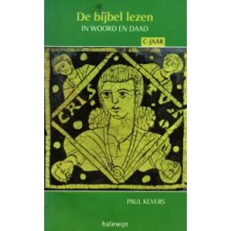 Afbeelding van De bijbel lezen in woord en daad: commentaren bij het C-jaar