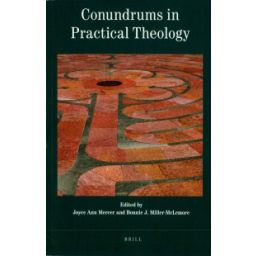 Afbeelding van Conundrums in practical theology