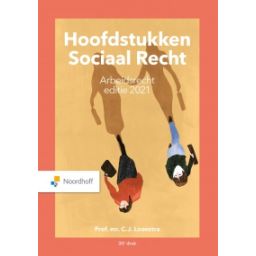 Afbeelding van Hoofdstukken sociaal recht : (Leerboek)