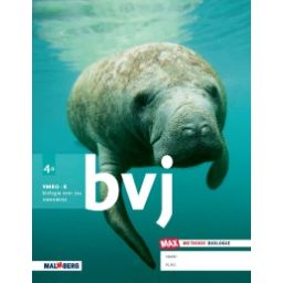 Afbeelding van BVJ - MAX - : 4 vmbo-k A : Handboek