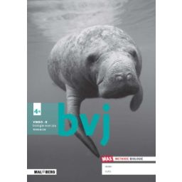 Afbeelding van BVJ - MAX - : 4 vmbo-bk A : Werkboek