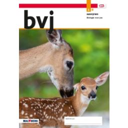 Afbeelding van BVJ - MAX - : 1 havo/vwo B : Leeropdrachtenboek