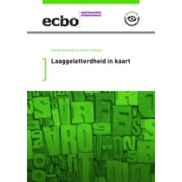 Afbeelding van Laaggeletterdheid in kaart