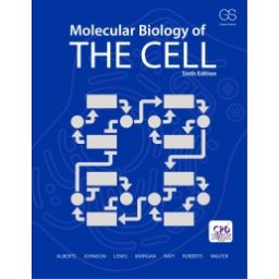 Afbeelding van Molecular biology of the cell