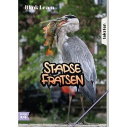 Afbeelding van Blink Lezen : Groep 5+6 A : Thema 3 : Stadse fratsen : Leesdossier en tekstboekje