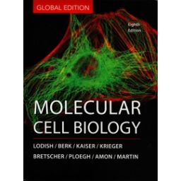 Afbeelding van Molecular cell biology