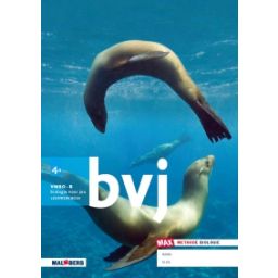 Afbeelding van BVJ - MAX - : 4 vmbo-b A : Leerwerkboek