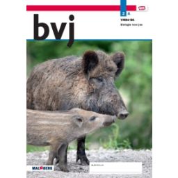 Afbeelding van BVJ - MAX - : 2 vmbo-bk A : Leerwerkboek