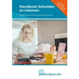 Afbeelding van Handboek schulden en inkomen