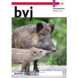 Afbeelding van BVJ - MAX - : 1 vwo/gymnasium A : Leeropdrachtenboek