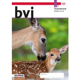 Afbeelding van BVJ - MAX - : 1 vwo/gymnasium B : Leeropdrachtenboek