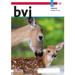 Afbeelding van BVJ - MAX - : 1 vmbo-kgt B : Leerwerkboek
