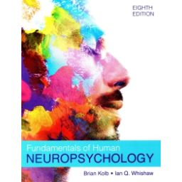 Afbeelding van Fundamentals of human neuropsychology 8th ed