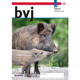 Afbeelding van BVJ - MAX - : 1 vmbo-bk A : Leerwerkboek