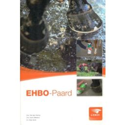 Afbeelding van EHBO-Paard