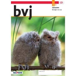 Afbeelding van BVJ 8.1 - MAX - : 2 havo/vwo A : Leeropdrachtenboek