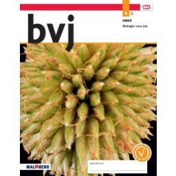 Afbeelding van BVJ - MAX - : 4 havo B : Leeropdrachtenboek