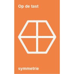 Afbeelding van Op de tast... : Symmetrie : Basisonderwijs