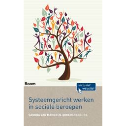 Afbeelding van Systeemgericht werken in sociale beroepen