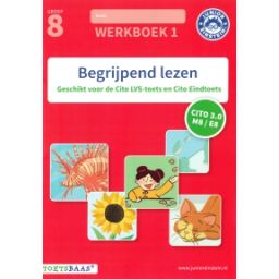Afbeelding van Begrijpend lezen : Groep 8, 1 : Werkboek