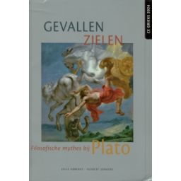 Afbeelding van Gevallen zielen : Leerlingboek