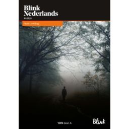 Afbeelding van Blink Nederlands : 1 havo A : Leerlingboek