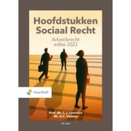 Afbeelding van Hoofdstukken Sociaal Recht