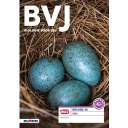 Afbeelding van BVJ 7.0 - MAX - : 4 vwo A : Leeropdrachtenboek