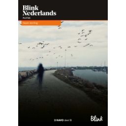 Afbeelding van Blink Nederlands : 2 havo B : Leerwerkboek